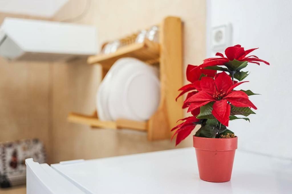 Centro Vejer Apartment